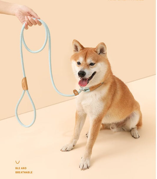 Dog Leash Medium and Large Dog Universal Safety Buckle Dog Leash Collar